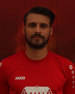 Elvedin Kasapovic