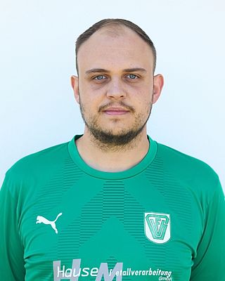 Alexander Ziegenaus