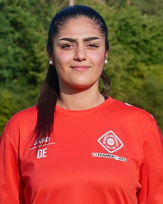 Derya Erdem