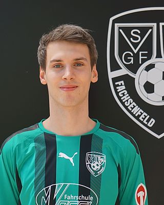 Timo Wiesen
