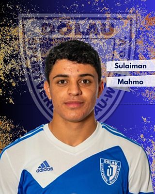 Sulaiman Mahmo