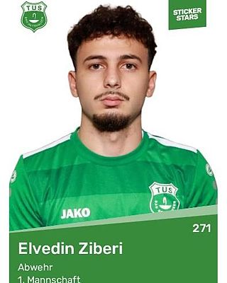 Elvedin Ziberi