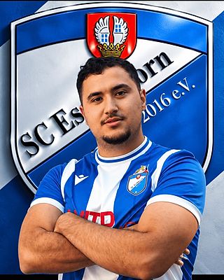 Hasan Sogan