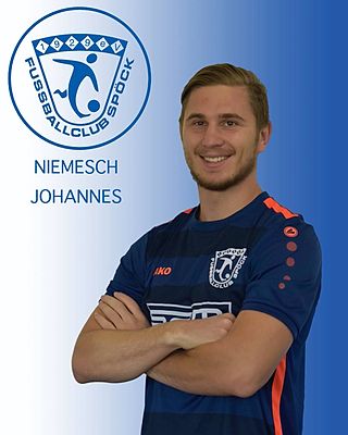 Johannes Niemesch