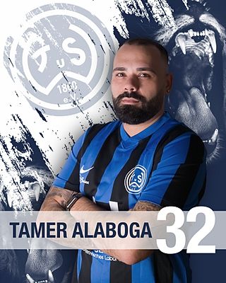 Tamer Alaboga
