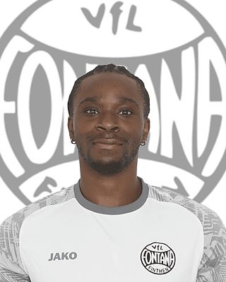 Dennis Gyamfi-Kumaning