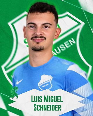 Luis Miguel Schneider