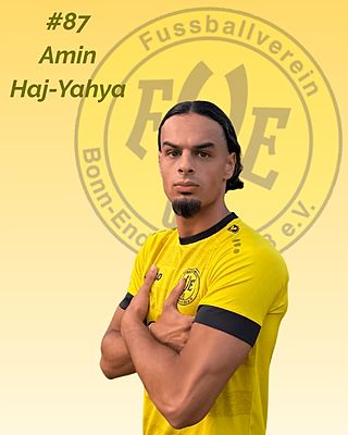 Amin Haj-Yahya