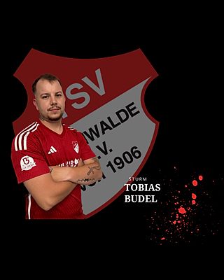 Tobias Budel
