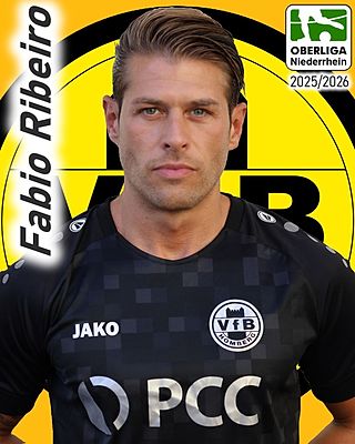 Fabio-Daniel Simoes-Ribeiro