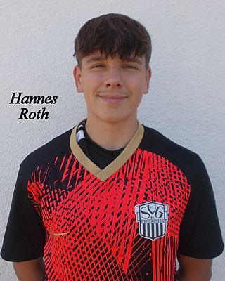 Hannes Roth