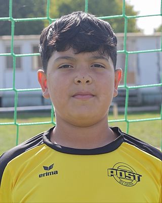 Erfan Sayedi