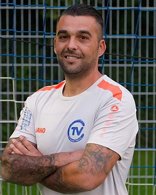 Henrique Domingos Ferreira Da Silva