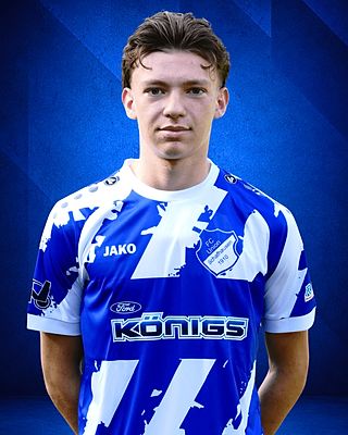 Lennard Borgs