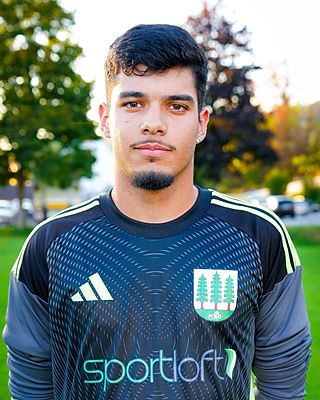 Ruben Miguel Ribeiro Dias