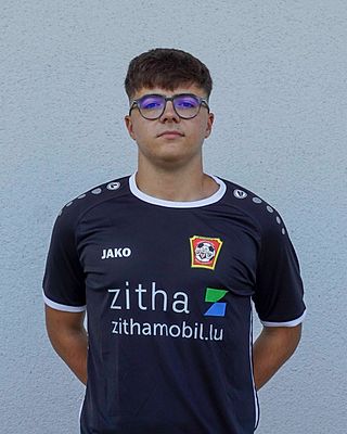 Sebastiao Viegas Ferreira