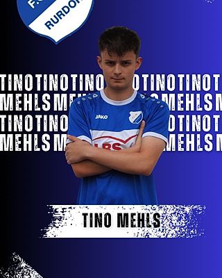 Tino Mehls