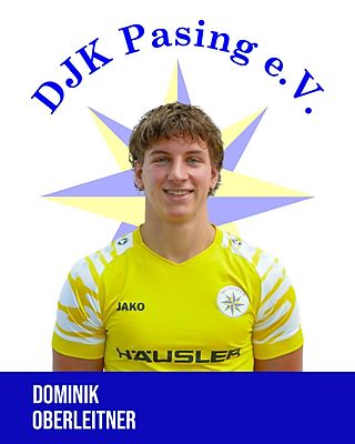 Dominik Oberleitner