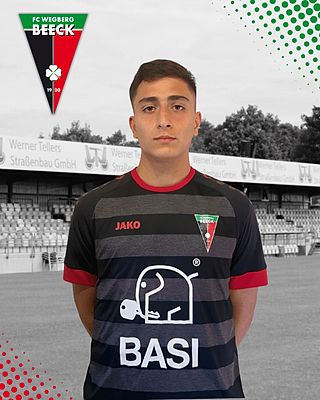 Parsa Akbarzad Saraj