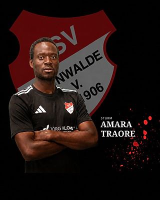 Amara Traore