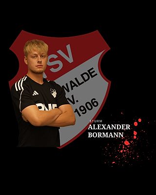 Alexander Bormann
