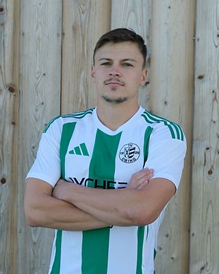 Niklas Brandl