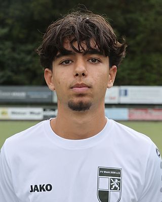 Deniz Vickollari
