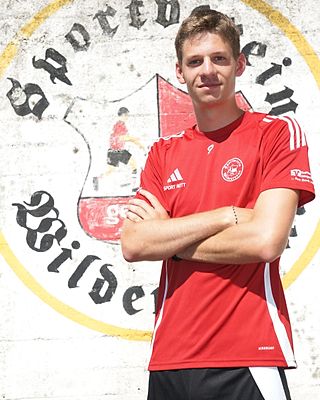 Sebastian Gierlinger