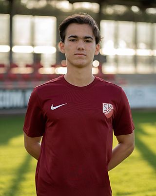 Daniel Rák-Vári