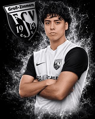 Fernando Sanchez Villena