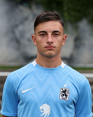 Mike Gevorgyan