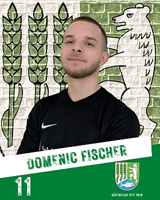 Domenic Fischer