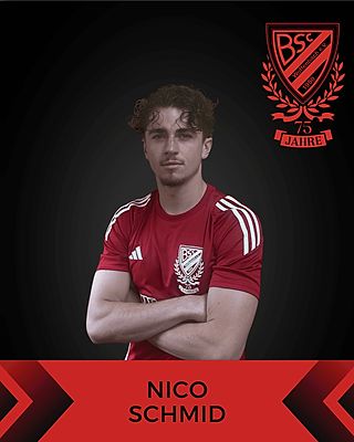 Nico Schmid