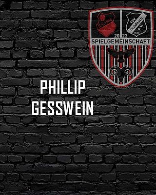 Phillip Gesswein