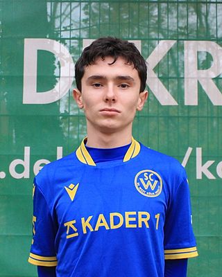 Tarik Osmanovic