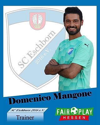 Domenico Mangone
