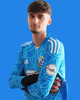 Nedim Hadziresic