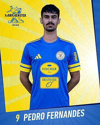 Rui Pedro Fernandes Lopes