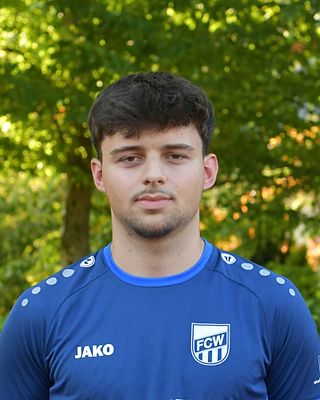 Luka Mrkonjic