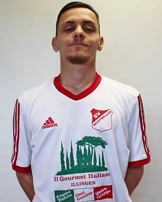 Semir Danaj