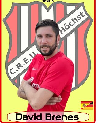 David Brenes