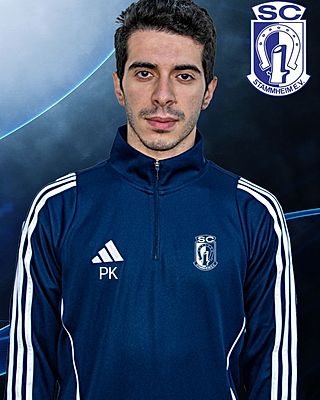 Panagiotis Katsikoudis