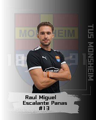 Raúl Miguel Escalante Panas