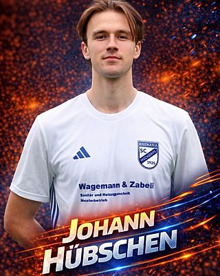 Johann Henrik Hübschen