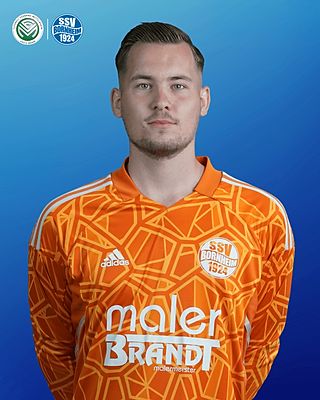 Daniel Bürfent