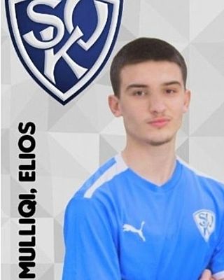 Elios Mulliqi
