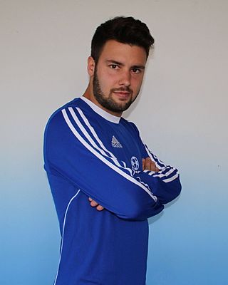 Ulrich Dippel