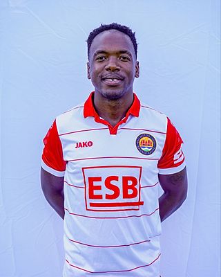 Wandile Brice Dlamini