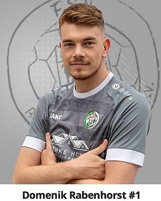 Domenik Rabenhorst