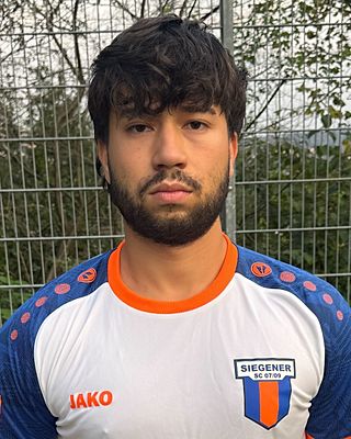 Alexandru Irinel Saceanu